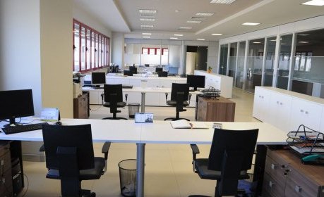 Rritet punesimi ne shtet ne prag zgjedhjesh: Niveli me i larte qe nga 2005